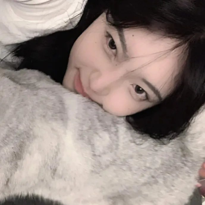 天水围的夜与雾
